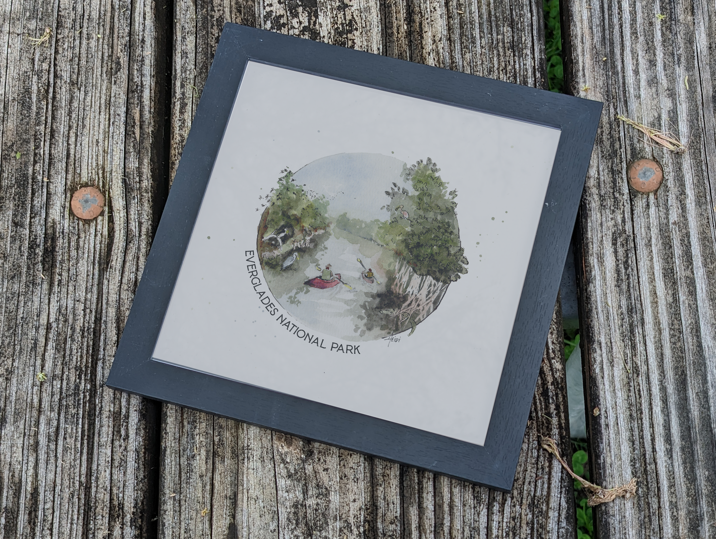 Everglades National Park 8x8 print