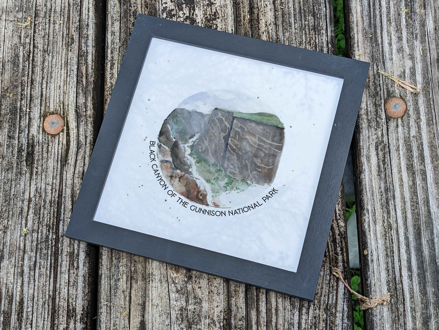 Black Canyon of the Gunnison National Park View 8x8 print