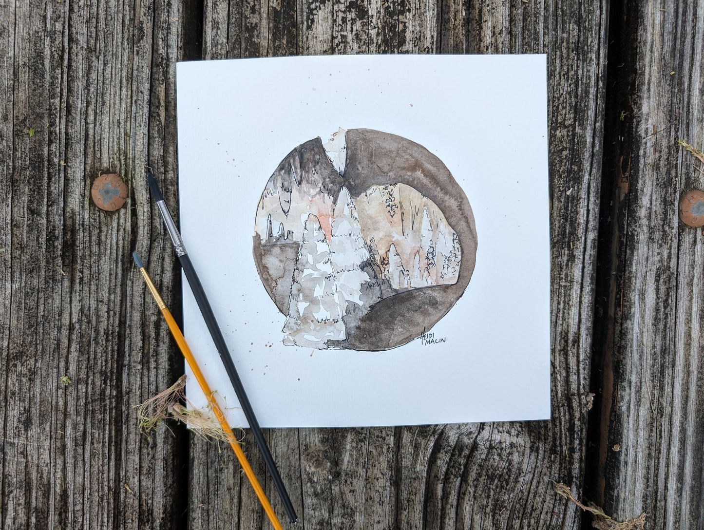 Carlsbad Caverns National Park 8x8 print
