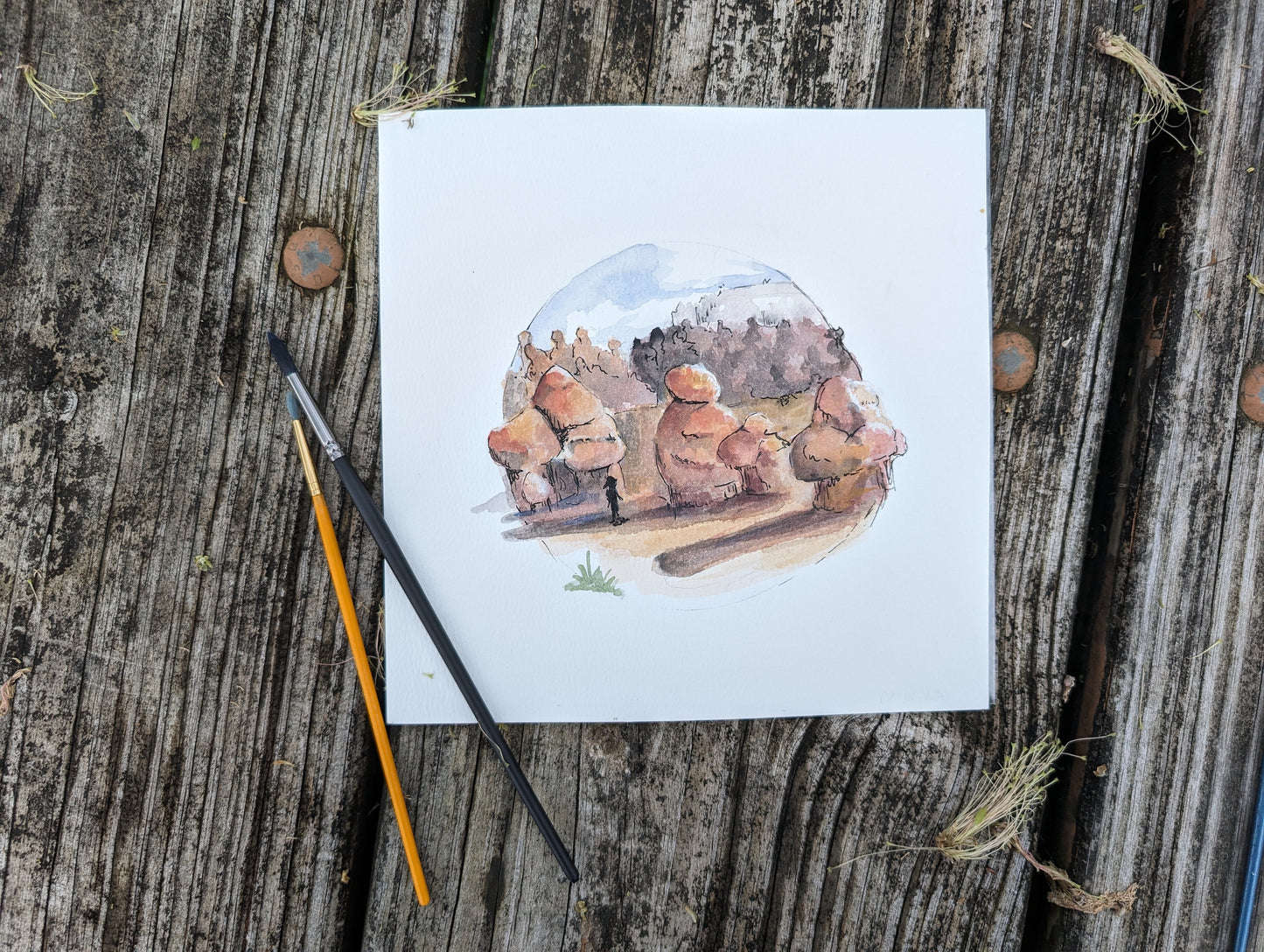 Goblin Valley Utah State Park 8 x 8 Print