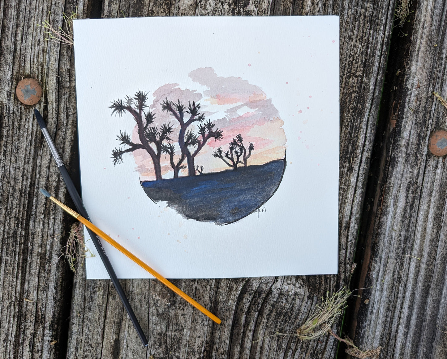 Joshua Tree National Park 8 x 8 Print