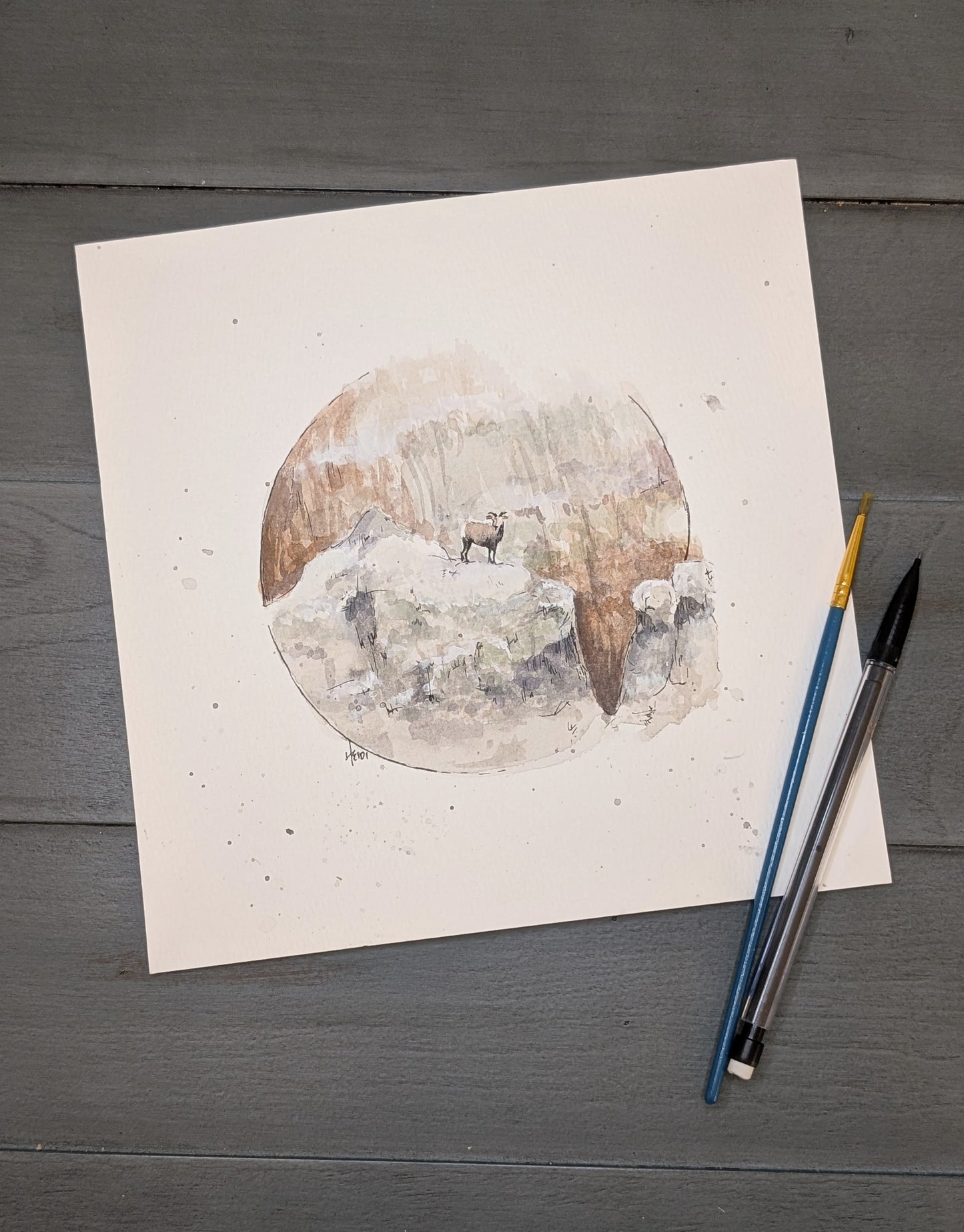 Badland National Park 8x8 print
