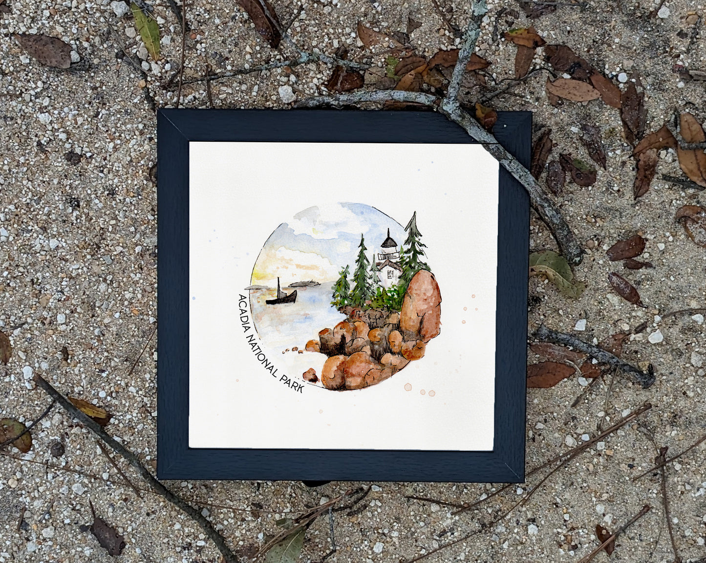 Acadia National Park 8x8 print