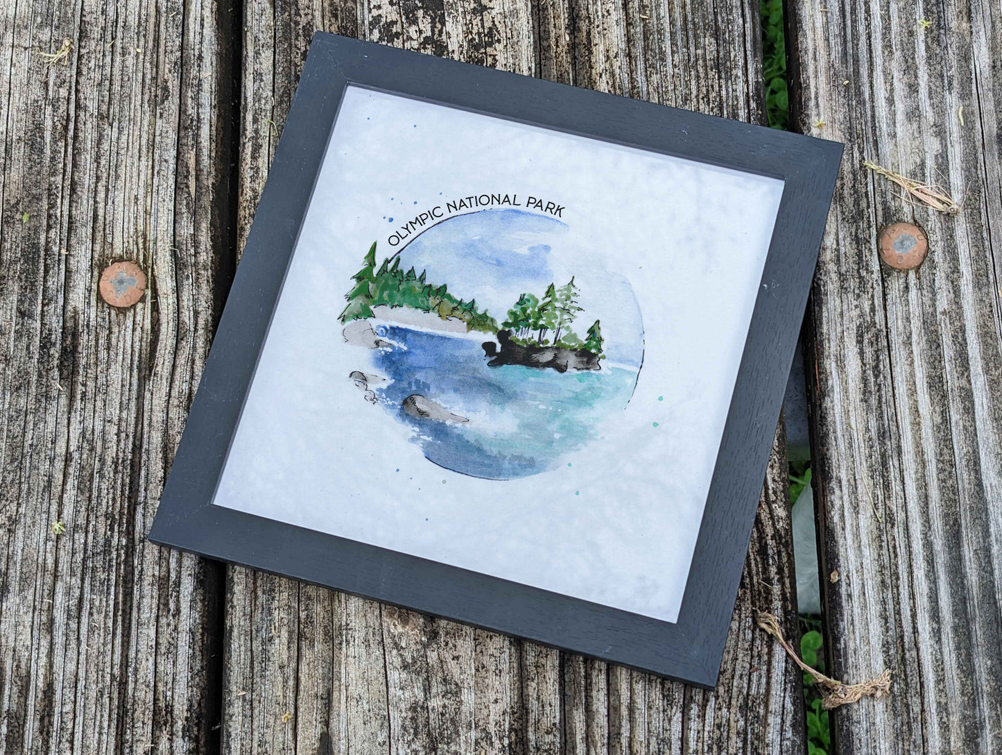 Olympic National Park 8x8 print