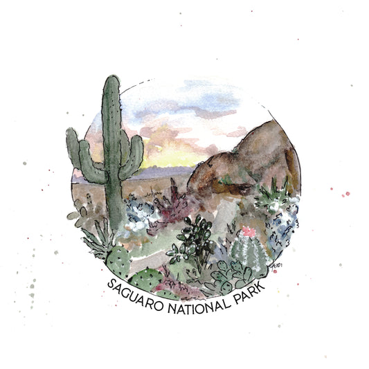 Saguaro National Park 8 x 8 Print