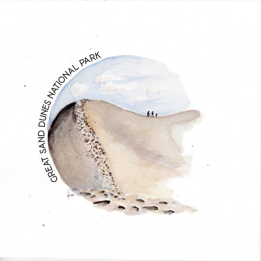 Great Sand Dunes National Park 8 x 8 Print